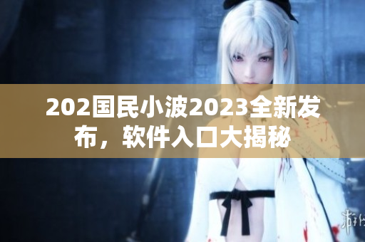 202国民小波2023全新发布，软件入口大揭秘