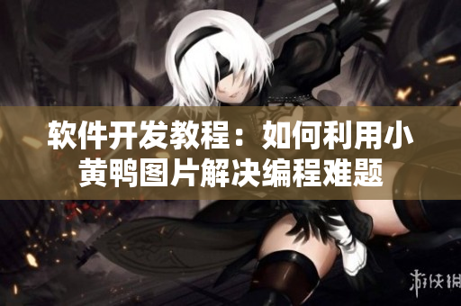 软件开发教程：如何利用小黄鸭图片解决编程难题