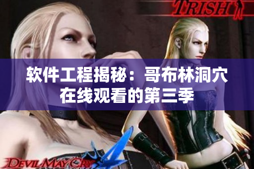 软件工程揭秘：哥布林洞穴在线观看的第三季