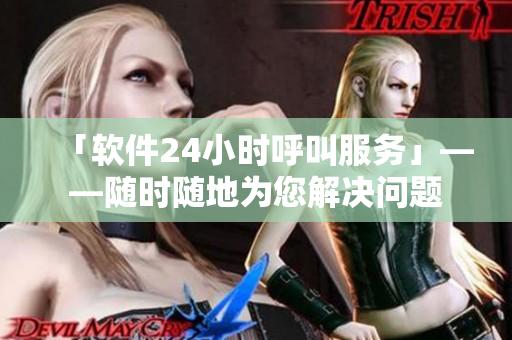 「软件24小时呼叫服务」——随时随地为您解决问题
