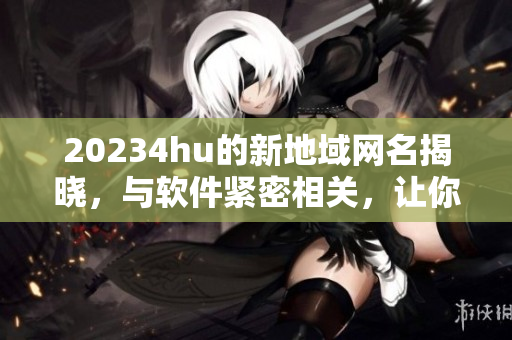 20234hu的新地域网名揭晓，与软件紧密相关，让你的网络世界更加安全高效！