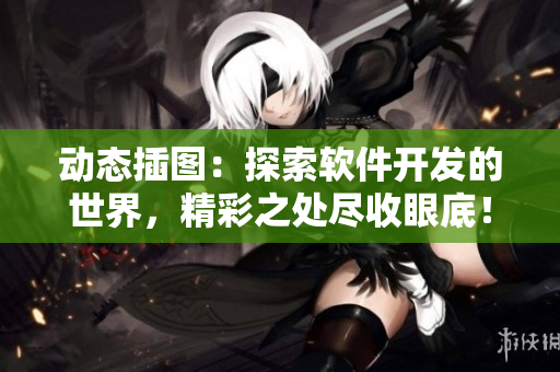 动态插图：探索软件开发的世界，精彩之处尽收眼底！