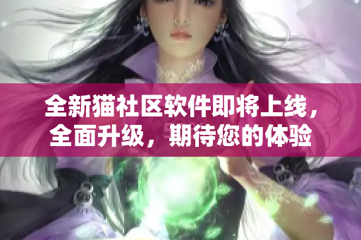 全新猫社区软件即将上线，全面升级，期待您的体验