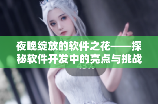 夜晚绽放的软件之花——探秘软件开发中的亮点与挑战