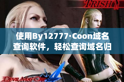 使用By12777·Coon域名查询软件，轻松查询域名归属和历史记录