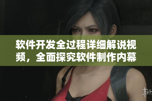 软件开发全过程详细解说视频，全面探究软件制作内幕