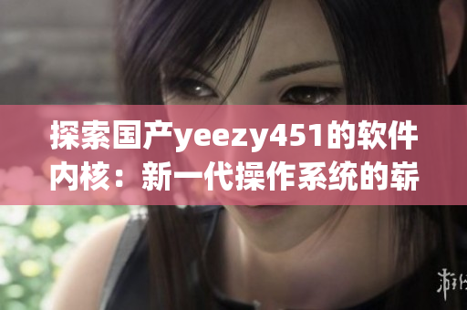 探索国产yeezy451的软件内核：新一代操作系统的崭新特性