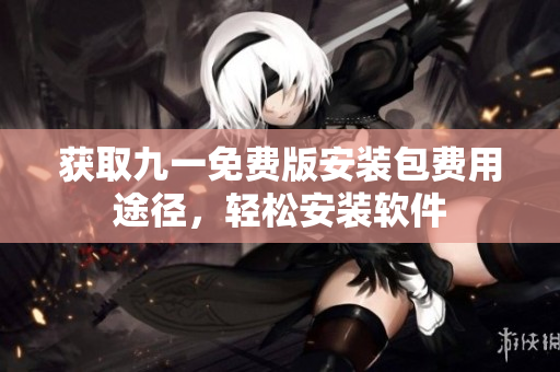 获取九一免费版安装包费用途径，轻松安装软件
