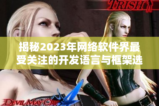 揭秘2023年网络软件界最受关注的开发语言与框架选择趋势