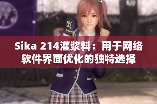 Sika 214灌浆料：用于网络软件界面优化的独特选择