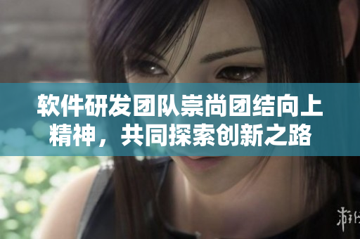 软件研发团队崇尚团结向上精神，共同探索创新之路