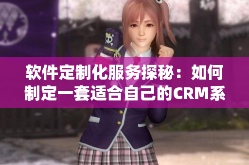 软件定制化服务探秘：如何制定一套适合自己的CRM系统？