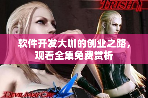 软件开发大咖的创业之路，观看全集免费赏析