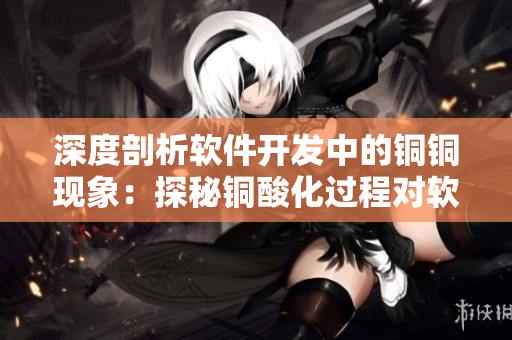 深度剖析软件开发中的铜铜现象：探秘铜酸化过程对软件功能影响