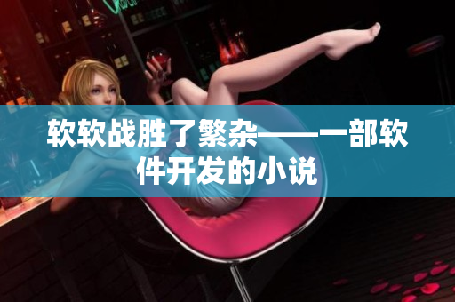 软软战胜了繁杂——一部软件开发的小说