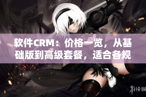 软件CRM：价格一览，从基础版到高级套餐，适合各规模企业