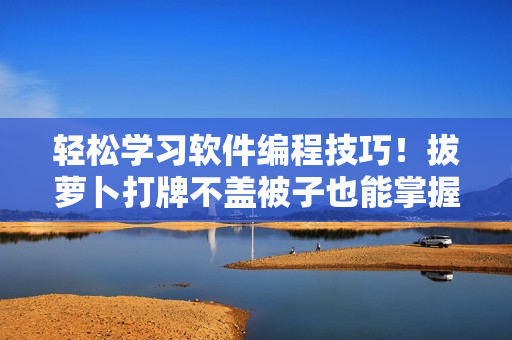 轻松学习软件编程技巧！拔萝卜打牌不盖被子也能掌握软件编写要点！