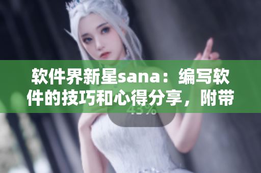 软件界新星sana：编写软件的技巧和心得分享，附带代码演示与注释