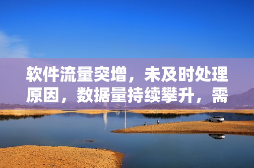 软件流量突增，未及时处理原因，数据量持续攀升，需立即查明，快速解决