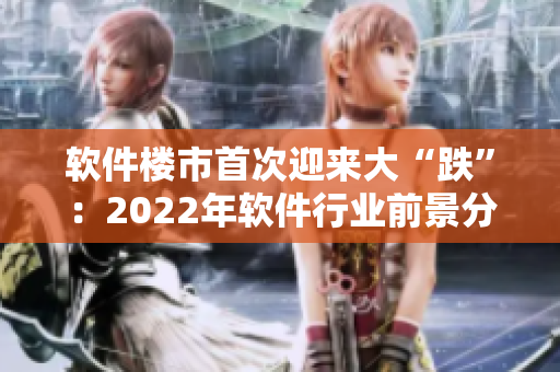 软件楼市首次迎来大“跌”：2022年软件行业前景分析及趋势展望