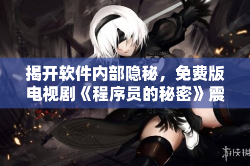 揭开软件内部隐秘，免费版电视剧《程序员的秘密》震撼上线