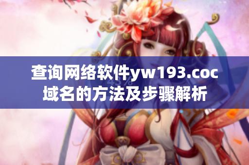 查询网络软件yw193.coc域名的方法及步骤解析