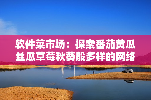 软件菜市场：探索番茄黄瓜丝瓜草莓秋葵般多样的网络软件选择