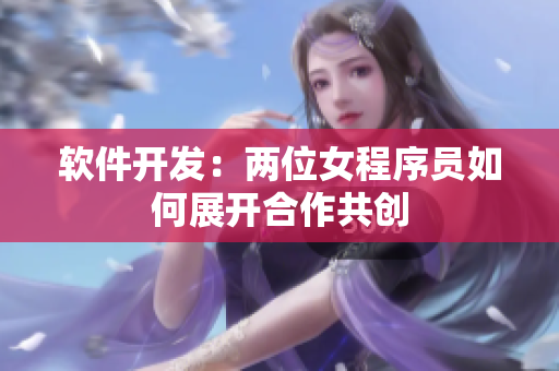 软件开发：两位女程序员如何展开合作共创