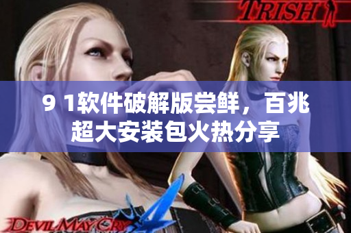 9 1软件破解版尝鲜，百兆超大安装包火热分享