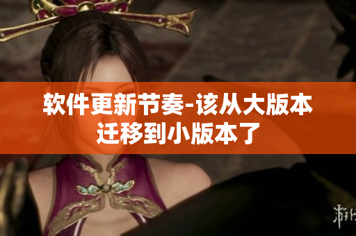 软件更新节奏-该从大版本迁移到小版本了