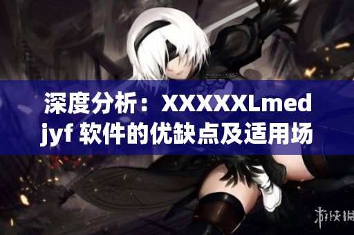 深度分析：XXXXXLmedjyf 软件的优缺点及适用场景