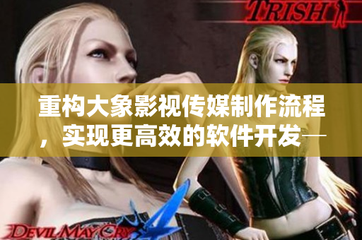 重构大象影视传媒制作流程，实现更高效的软件开发──软件行业新闻报道