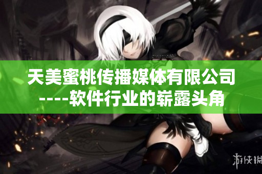 天美蜜桃传播媒体有限公司----软件行业的崭露头角