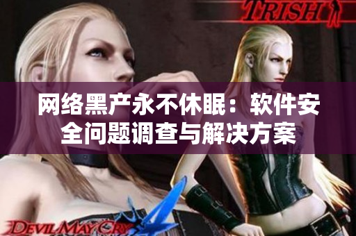 网络黑产永不休眠：软件安全问题调查与解决方案