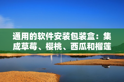 通用的软件安装包装盒：集成草莓、樱桃、西瓜和榴莲的多功能一体盒