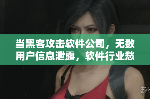 当黑客攻击软件公司，无数用户信息泄露，软件行业愁眉不展