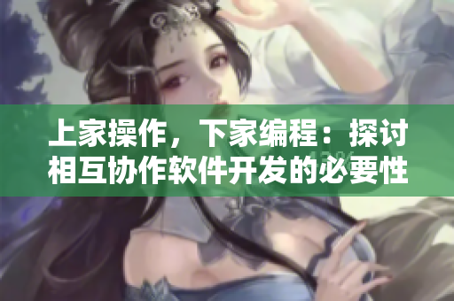 上家操作，下家编程：探讨相互协作软件开发的必要性
