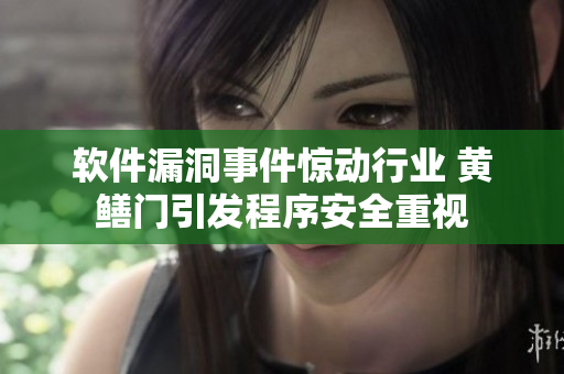 软件漏洞事件惊动行业 黄鳝门引发程序安全重视