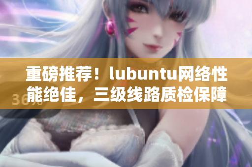 重磅推荐！lubuntu网络性能绝佳，三级线路质检保障软件畅通无阻