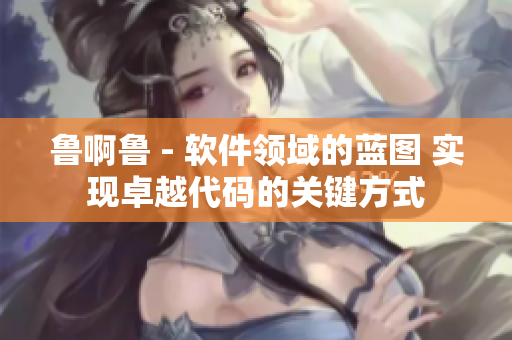 鲁啊鲁 - 软件领域的蓝图 实现卓越代码的关键方式