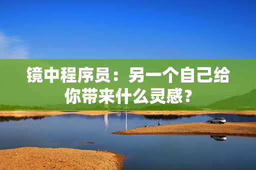 镜中程序员：另一个自己给你带来什么灵感？