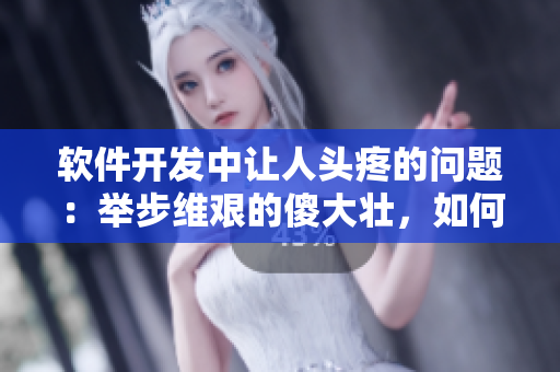 软件开发中让人头疼的问题：举步维艰的傻大壮，如何解决？