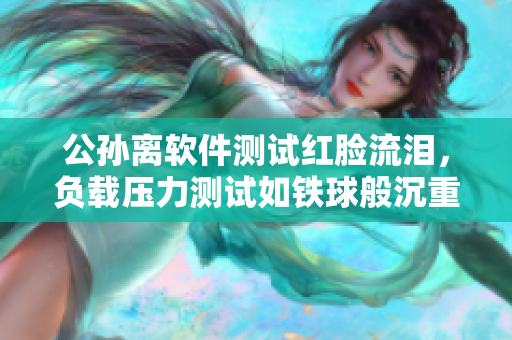公孙离软件测试红脸流泪，负载压力测试如铁球般沉重