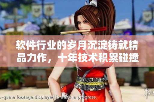 软件行业的岁月沉淀铸就精品力作，十年技术积累碰撞创新火花