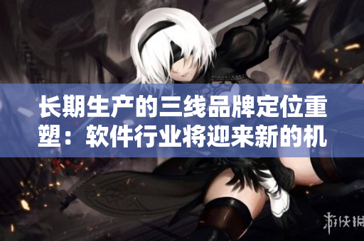 长期生产的三线品牌定位重塑：软件行业将迎来新的机遇