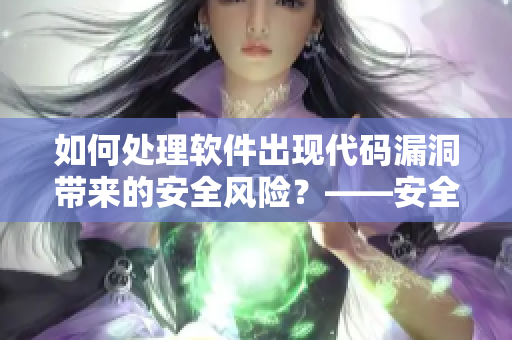 如何处理软件出现代码漏洞带来的安全风险？——安全加固与修复策略