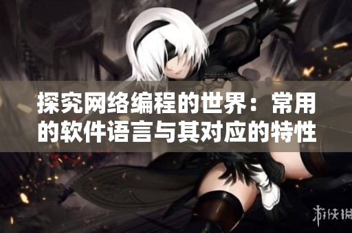 探究网络编程的世界：常用的软件语言与其对应的特性解读