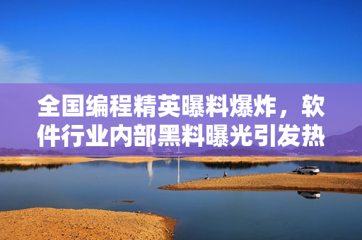 全国编程精英曝料爆炸，软件行业内部黑料曝光引发热议
