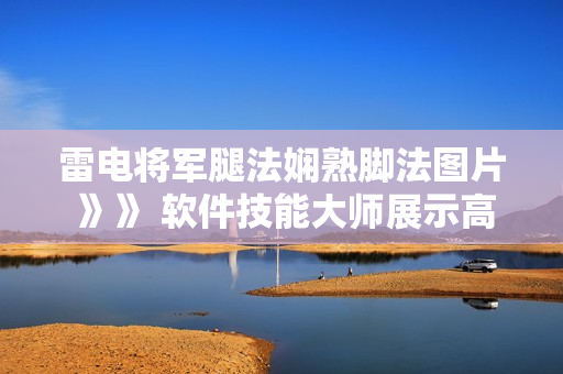 雷电将军腿法娴熟脚法图片 》》 软件技能大师展示高超操作截图