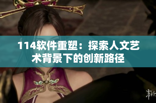 114软件重塑：探索人文艺术背景下的创新路径